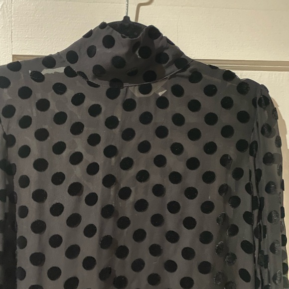 Stone Cold Fox Sheer Velvet Polka Dot Dress - Picture 10 of 16